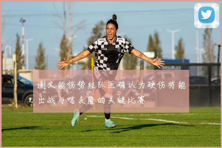 谢文能伤势经队医确认为硬伤将能出战与喀麦隆的关键比赛